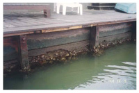 Seadrift Lagoon Bulkhead Inspection and Assessment