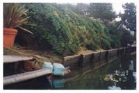 Seadrift Lagoon Bulkhead Inspection and Assessment