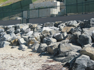 Dana Point Headlands Development & Conservation Plan