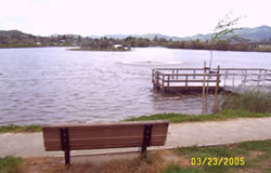Scottsdale Pond Park Improvements