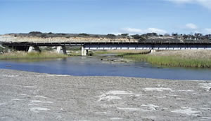 San Onofre Lagoon Estuary Enhancement Report