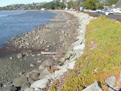 San Rafael Avenue Seawall Study