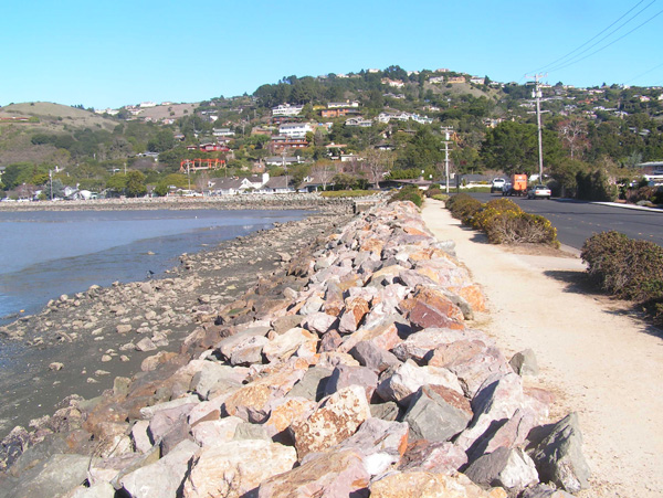 San Rafael Avenue Seawall Study